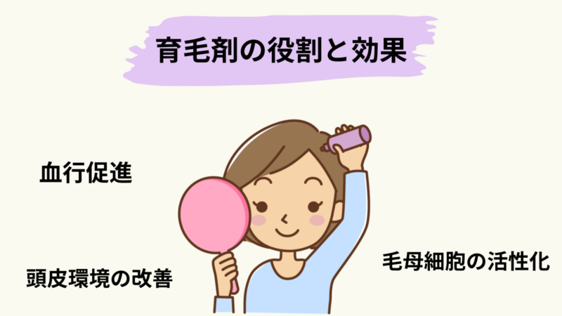 育毛剤の役割と効果は、血行促進・頭皮環境の改善・毛母細胞の活性化